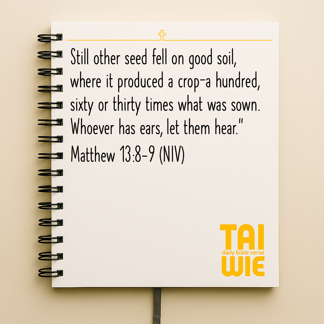 Daily Takeaway