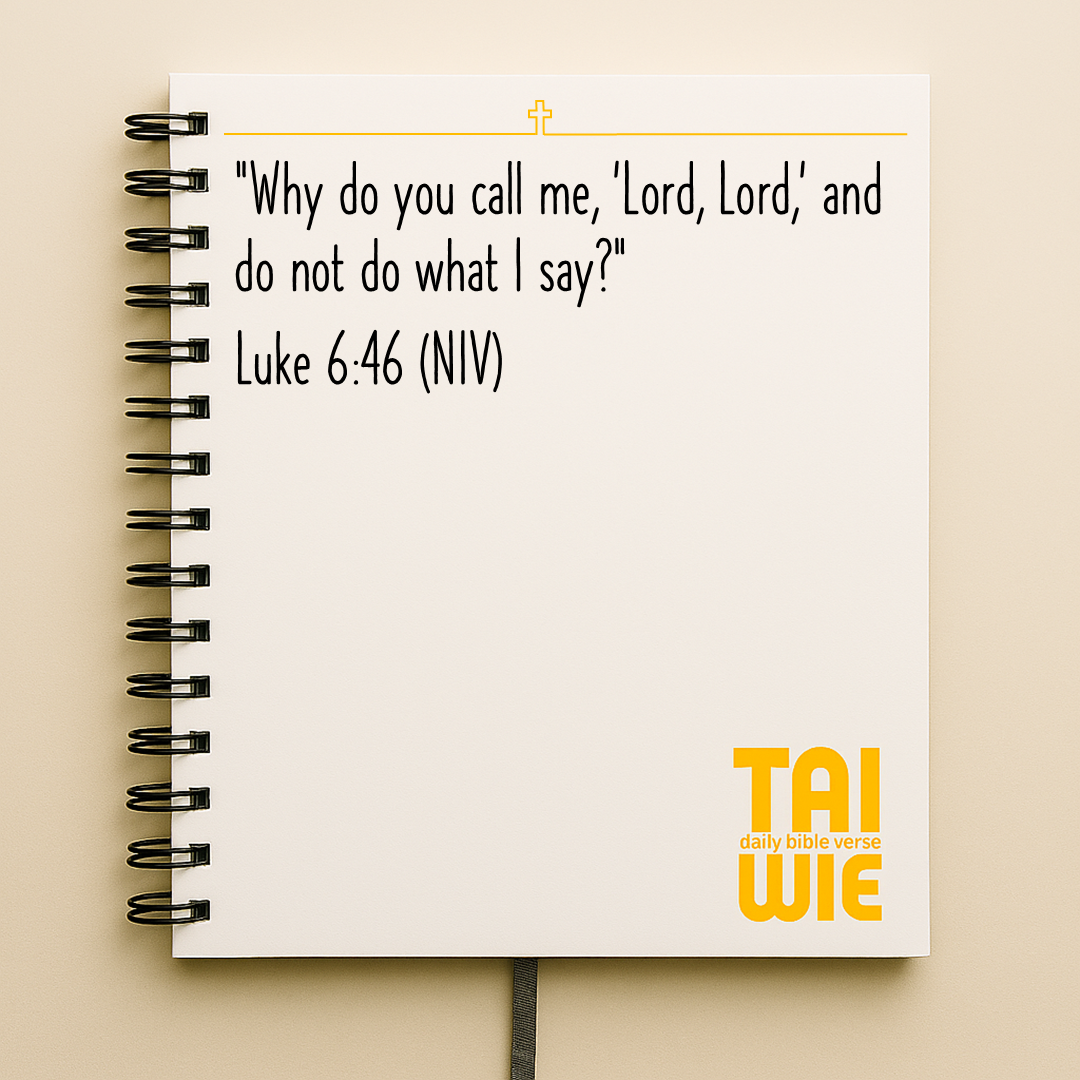 Daily Takeaway