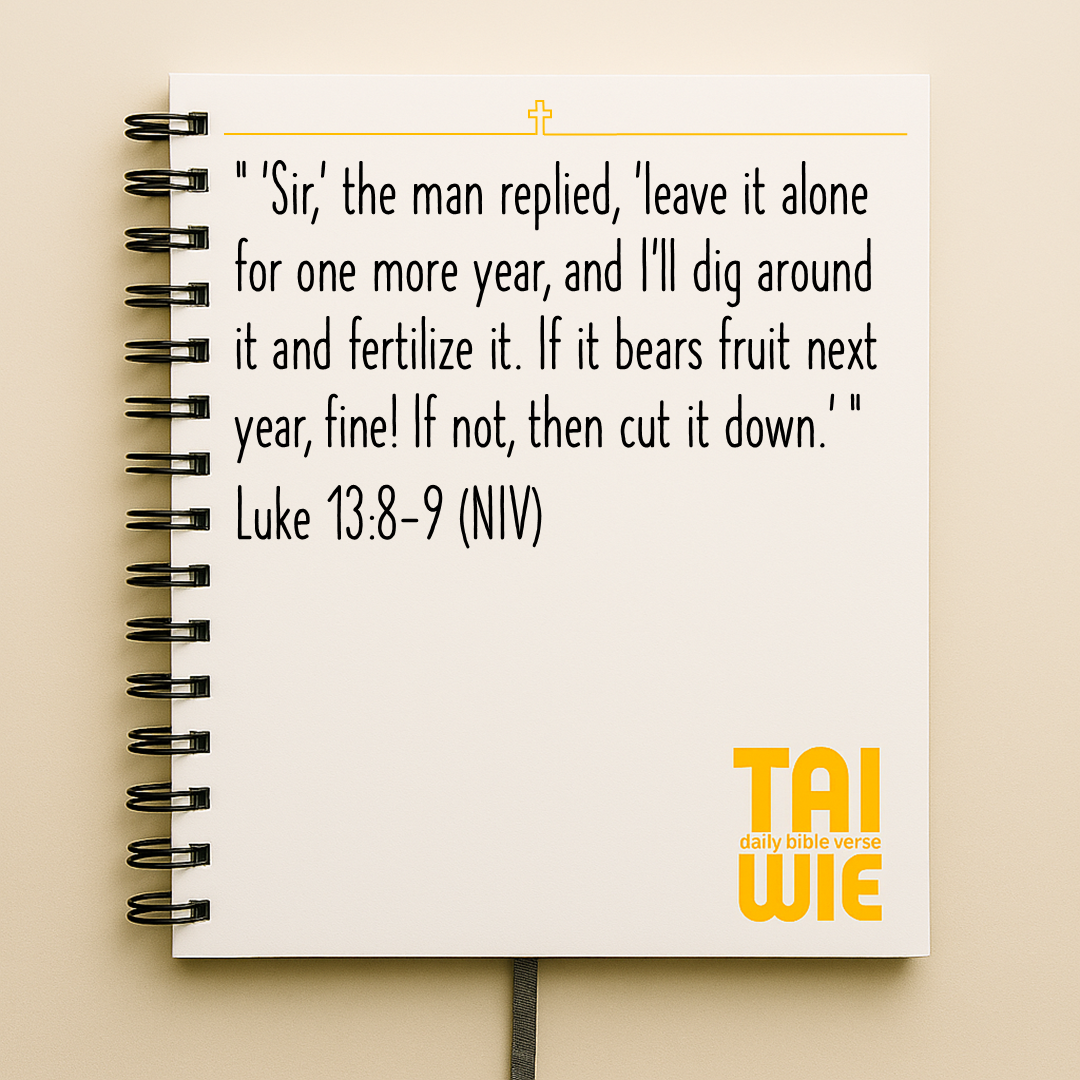 Daily Takeaway