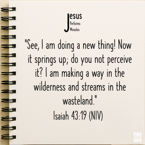 Daily Takeaway
