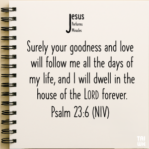 Daily Takeaway